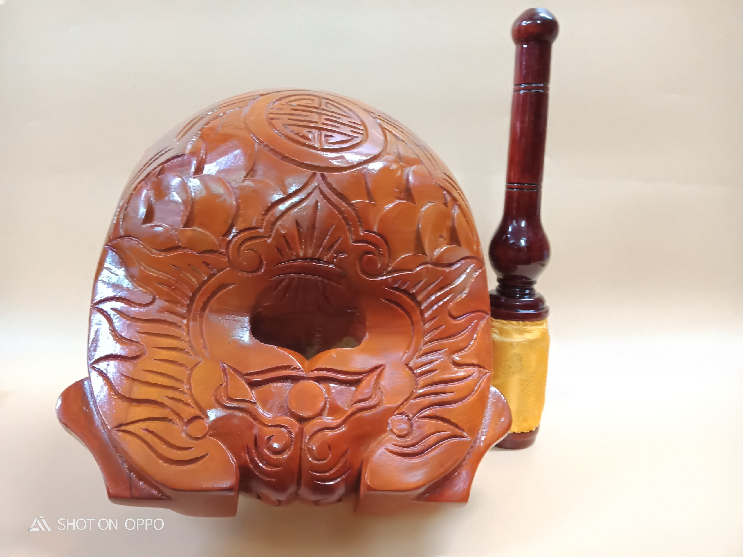 Mõ Huế 5T