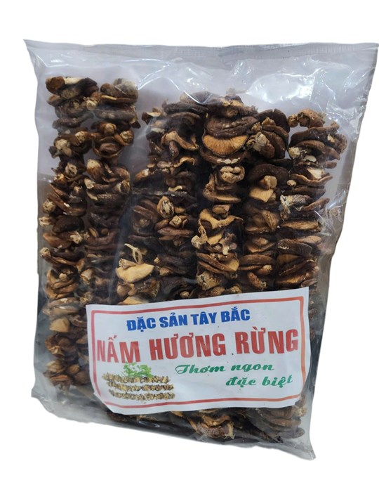 Nấm hương rừng đặc sản Tây Bắc