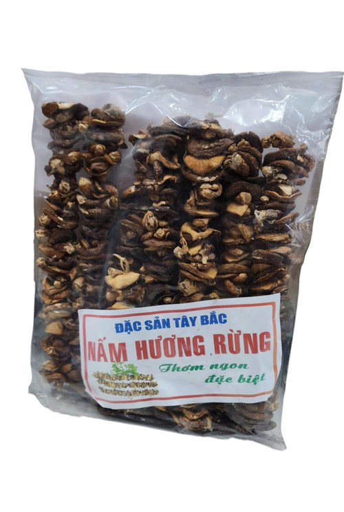 Nấm hương rừng đặc sản Tây Bắc