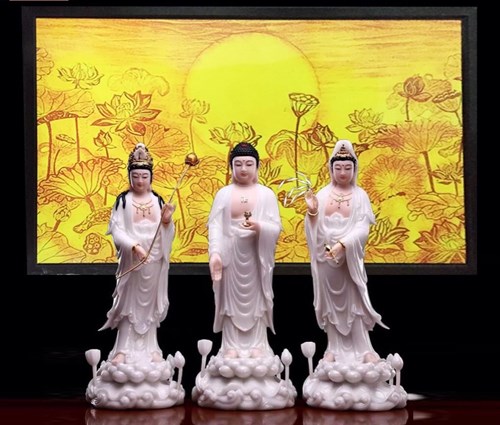 SEN CHỮ NHẬT 100*150