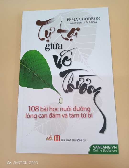 Tự Tại Giữa Vô Thường