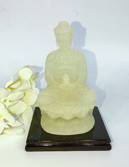 Tượng dạ quang DQ12