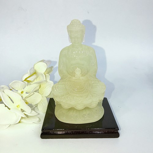 Tượng dạ quang DQ12