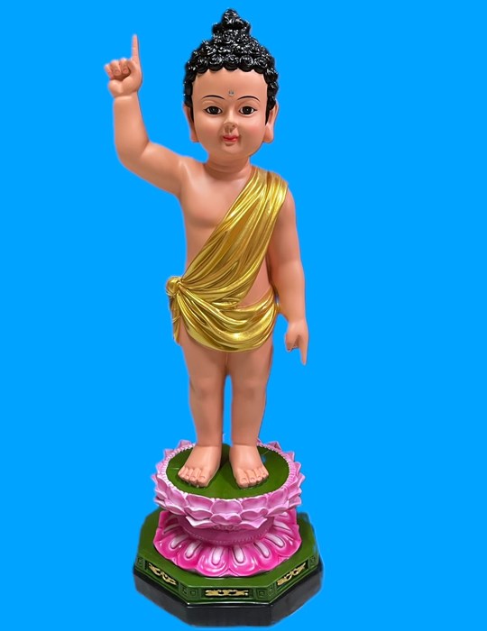 Tượng Đản Sanh 14 - 60cm