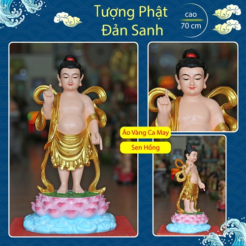 Tượng Đản Sanh đế sen hồng 70cm