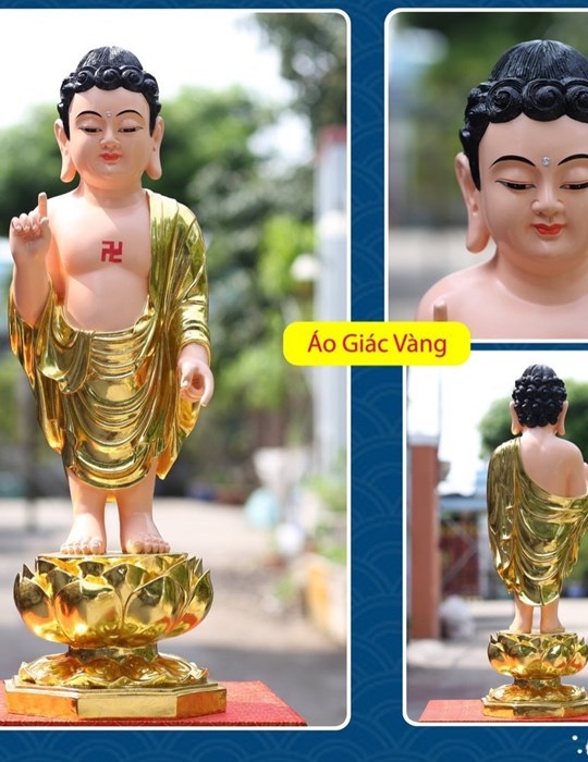Tượng Đản Sanh Giác Vàng 85cm