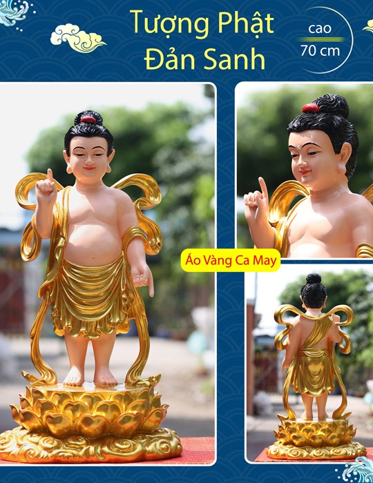 Tượng Đản Sanh sen vàng 70cm