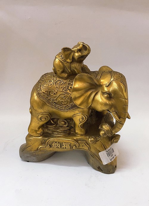 Voi đứng đế