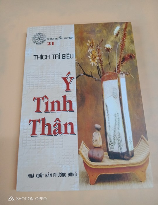 Ý Tình Thân