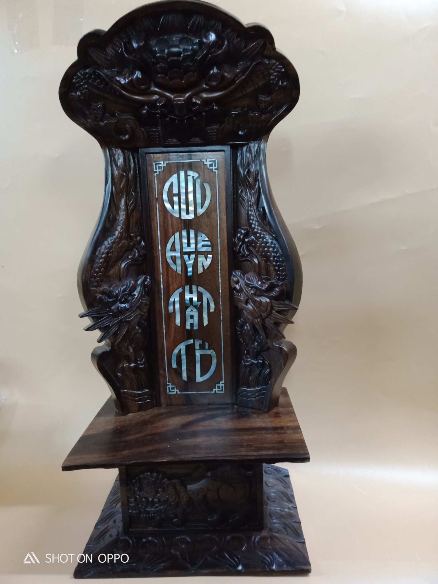 Cửu Huyền Gỗ Muồng 50cm